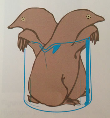 Two Moles Per Liter